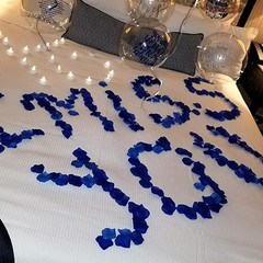 1000 Pcs Artificial Silk Rose Petals Decoration Wedding Party Color Sapphire Blu