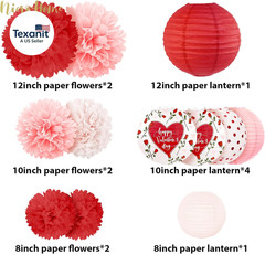 Valentine’S Day Decorations, 12 PCS Pink Red Love Tissue Paper Pom Poms and Lant