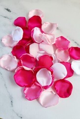 Hot Pink Rose Petals Barbiecore Wedding Decor Will You Marry Me Petal Patrol Box