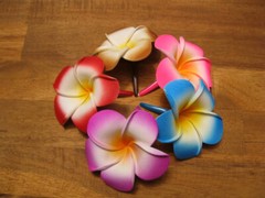 Frangipani Hairclips 7cm flower with matching color clips.
