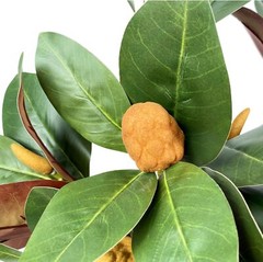 Set of 4 Magnolia Branches 32 Inch Long Artificial Magnolia with Leaves Green…