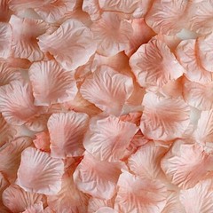 2000 Dusty Rose Silk Rose PETALS Wedding Party Decorations Supplies WHOLESALE