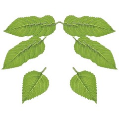 Small Sunflower Fake Leaves 100 Pcs Artificial Plants Greenery Decorations