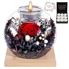 NERCHVO Valentines Birthday Gifts for Women Preserved Roses in Glass Dome Red