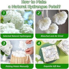Natural Hydrangea Petals Wedding Decor Romantic Parties Reusable Eco-Friendly US