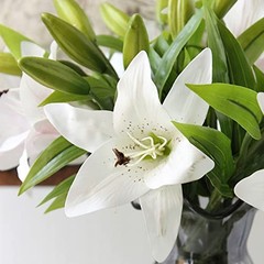 Pcs Artificial Tiger Lily Real Touch Easter Lily Fake Spring Flowers 8 White