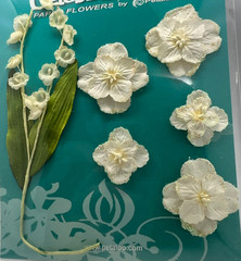 Celebrations Paper Flower by Petaloo Lily Valley, Layered Hydrangeas cream 6 pc