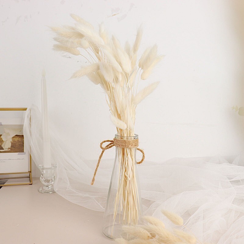 WHITE 50 Stems 15″ Rabbit Tail Dried Natural Pampas Grass SPRAYS Party Events
