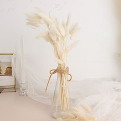 WHITE 50 Stems 15″ Rabbit Tail Dried Natural Pampas Grass SPRAYS Party Events