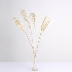 6 WHITE 32″ Natural Pampas Grass SPRAYS Dried Plant STEMS Party Home Decorations