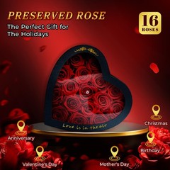 Forever Red Roses in a Heart Shaped Box 16 Preserved 16 Roses, Heart-red