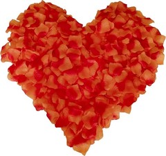 1500 PCS Separated Artificial Orange & Red Rose Petals Sunset Flower