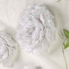 24 pack 12″ 16″ 20″ White Tissue Paper Carnation Flowers Sale Sale Home Backdrop