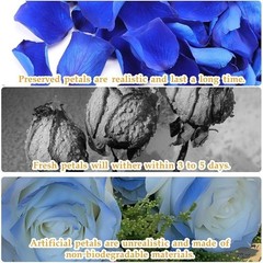 Natural Rose Petals Wedding Decor Romantic Nights Proposal Decorations Crafting
