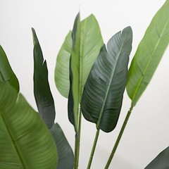 2 Green 3 feet Bird of Paradise ARTIFICIAL PLANTS Planter Pots Home Decorations