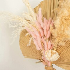 BLUSH 50 Stems 15″ Rabbit Tail Dried Natural Pampas Grass SPRAYS Party Events