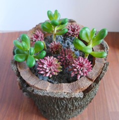 9 Artificial Succulents Grass Miniature Landscape Plants