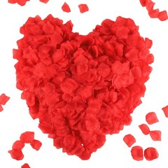 2200 PCS Dark-Red Silk Rose Petals Romantic Night,Wedding,Proposal Anniversary