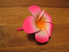 Frangipani Hairclips 7cm flower with matching color clips.