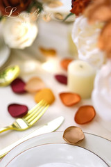 300Pcs Terracotta Rose Petals Satin Flower Petals for Wedding Flower Girl Basket