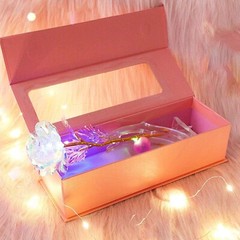 24K Gold Plated Galaxy Rose Flower with LED Light Valentine’s Birthday Day Gifts