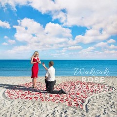 1,000 Count Scented Silk Rose Petals, Perfect for All Romantic Occasions