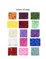 Tulip, calla lily and rose bridal bouquet…you pick colors