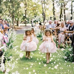 Natural Hydrangea Petals Wedding Decor Romantic Parties Reusable Eco-Friendly US