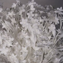 12 Stems Silk Baby’s Breath Gypsophilia Spray White w/White Stems 00102171017