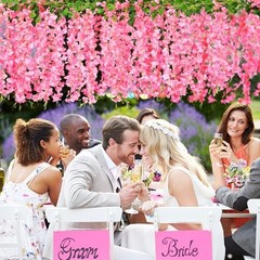 150 Branches Wisteria Hanging Flowers,10Pcs Total 60ft Pink Wisteria Pink-10pcs