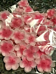 100 pcs peach cherry rose petal for wedding birthday party decoration