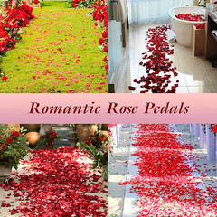 3000 pétalos de rosa de seda, decoraciones de pétalos de rosa roja