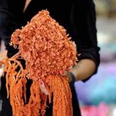Preserved Annabelle Hydrangea Premium Natural Dried Flower Wedding Bouquet Decor
