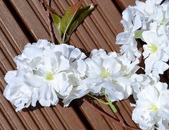 flower garland. 6foot in ivory or pink. wedding decorationflower garland