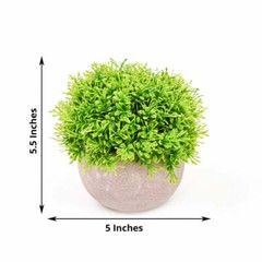 2 Green 5″ Mini Boxwood Topiary ARTIFICIAL PLANTS Planter Pots Home Decorations