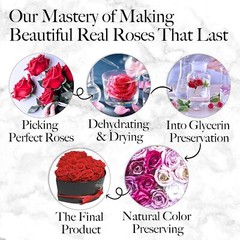 27 Preserved Roses in a Heart Box – Flowers Forever Valentine’s Day, Roses Forev