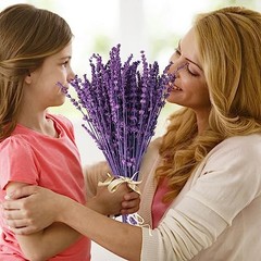 Dried Purple Lavender Flowers Bundle-Dried Preserved Lavender Purple-1.76oz