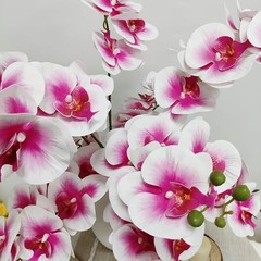 Pack Pink Orchid Artificial Flowers Real Touch, 27” 10 Pink + White Edge