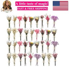 10/12/24/36 Pack Mini Dried Flowers for Vase Wedding Various Mini Bouquet Dri…