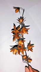 Dry flowers for make beautiful decorations wall decorations 20 flowers in set