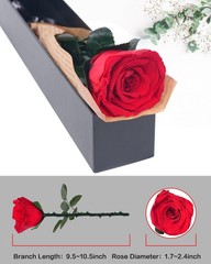 Preserved Flowers Gifts for Women: Valentines Day Mothers Day Birthday Chri