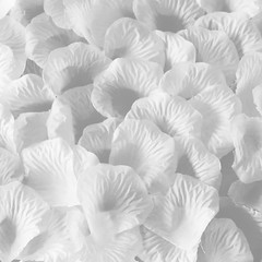 3600 Pcs White Silk Rose Petals, Artificial Flower Petals, Wedding Flower Decora