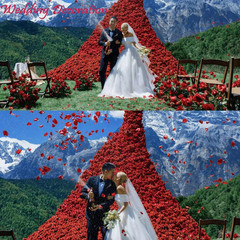 2200 PCS Petalos de Rosa de Seda Rojo Oscuro para Noche Romantica Boda y Eventos