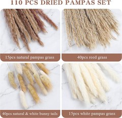 Hierba de pampa 110PCS Flores secas Hierba de caña Hierba de cola de conejo NEW
