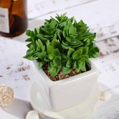 3 Off White Ceramic Pots 4″ Green Faux Crassula Succulent Plants Wedding Favors