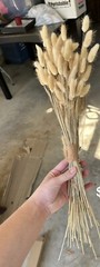 Dried Floral Bundle