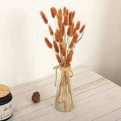 BROWN 50 Stems 15″ Rabbit Tail Dried Natural Pampas Grass SPRAYS Party Events