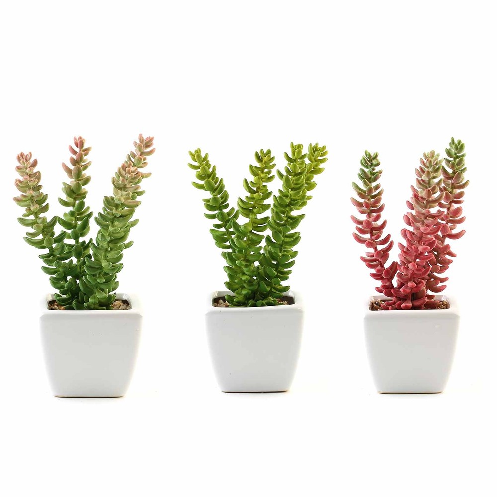 Set of 3 8″ tall Assorted Faux Cute Sedum Succulent Plants with Off White Pots