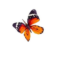 -Decorative Butterfly Clips, 3Drtificial Silk Butterflies, Multicolor, Small A