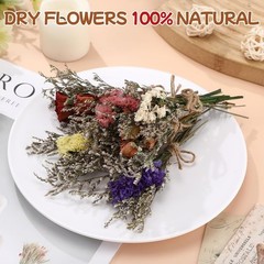 10/12/24/36 Pack Mini Dried Flowers for Vase Wedding Various Mini Bouquet Dri…